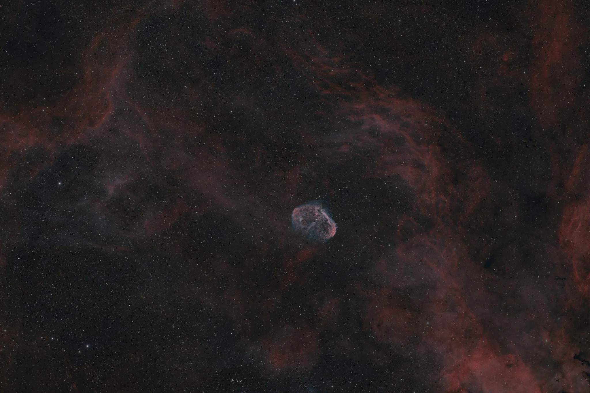 Crescent Nebula surrounded by faint red emission nebulosity