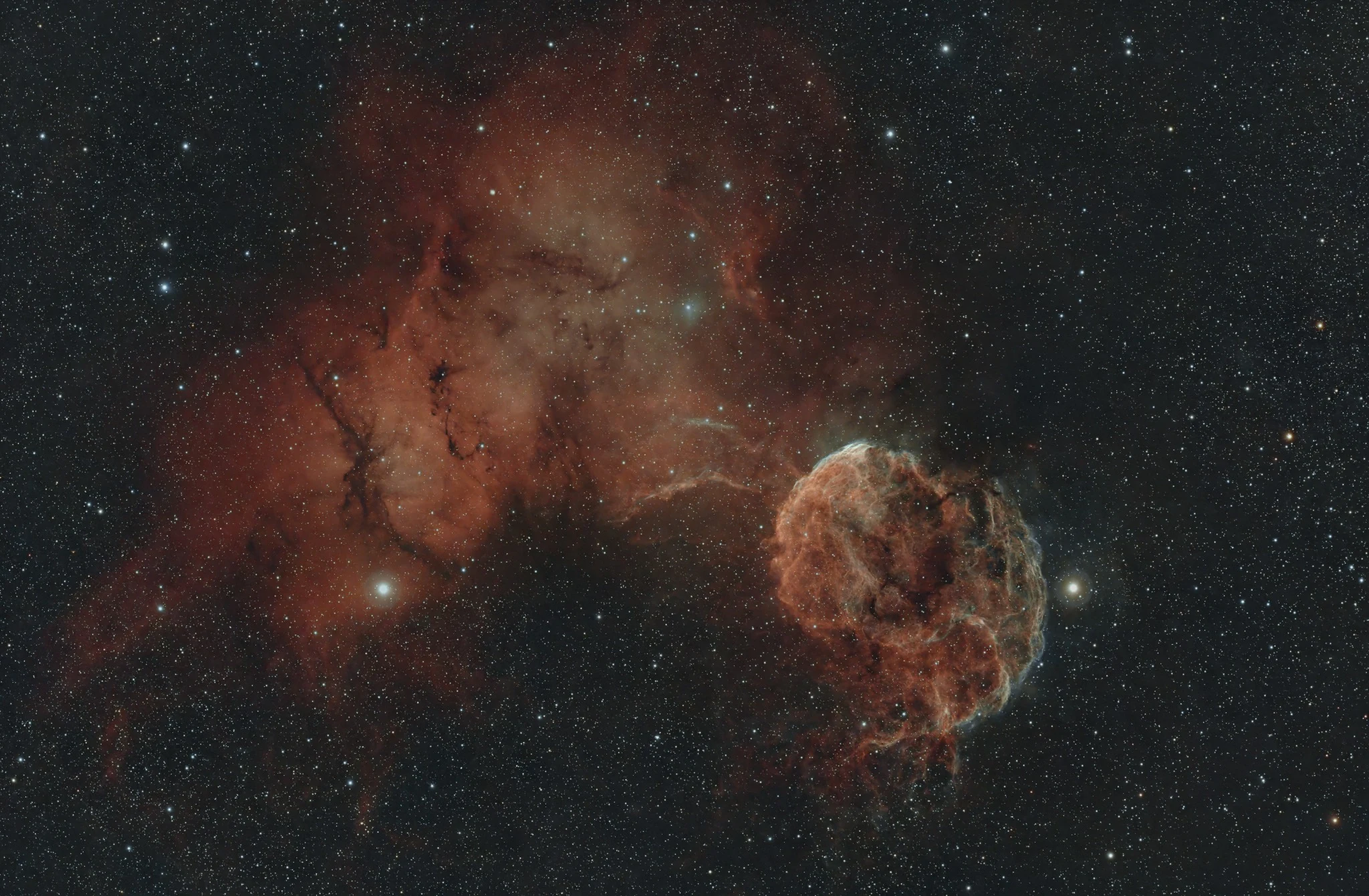 Jellyfish Nebula glowing amid a dense star field