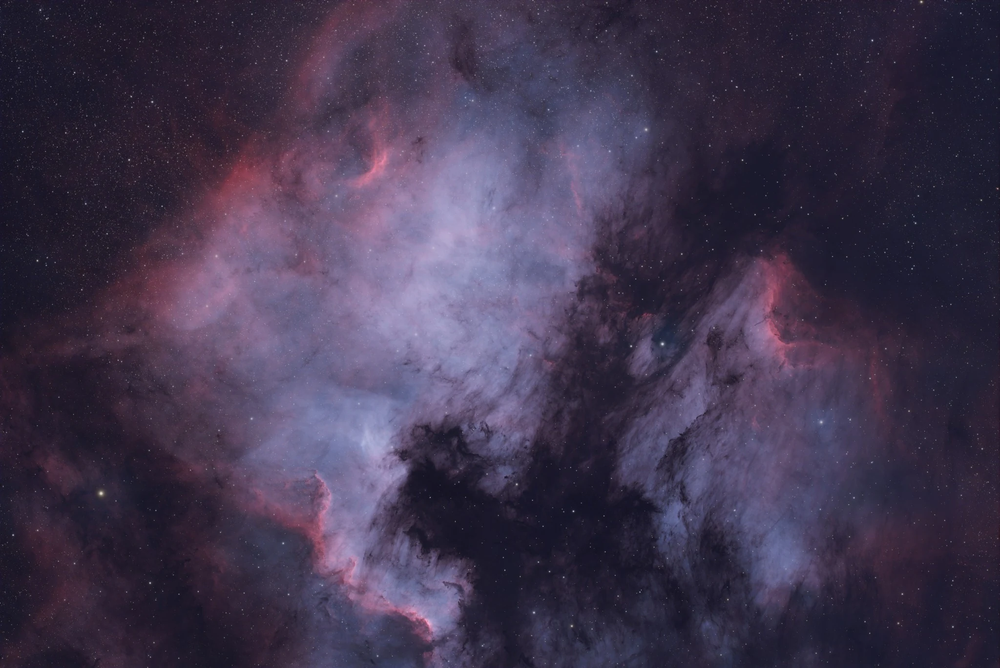 North America Nebula photographed against a dense field of stars